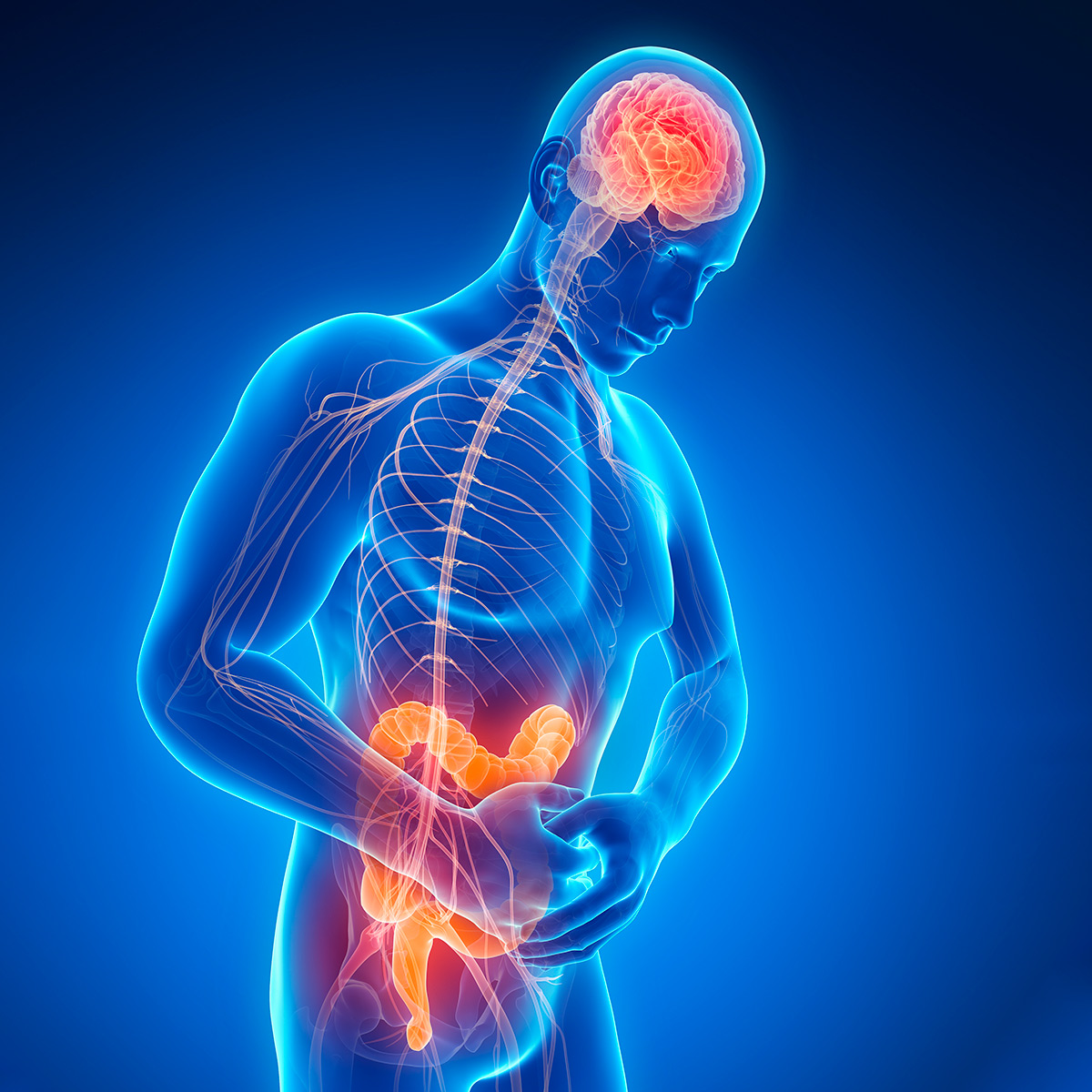 ¿Y si el párkinson fuese una enfermedad del intestino y no del cerebro?