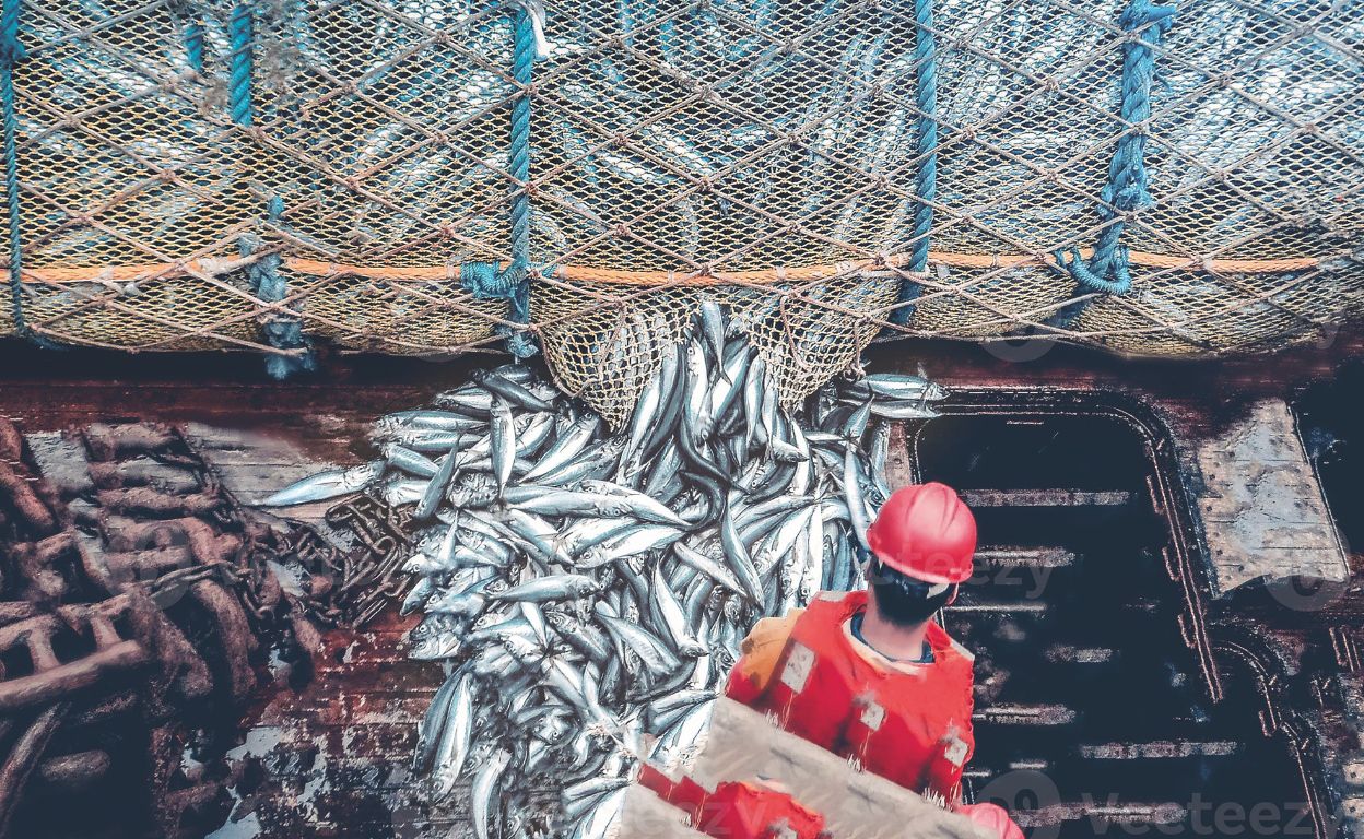 La red más inteligente del mundo no es Internet